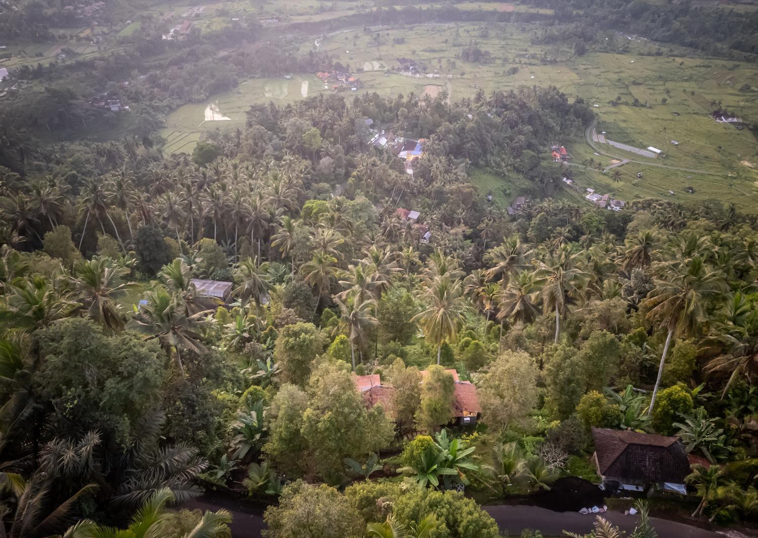 Lodge Cemara Hill By Samhita Bali *