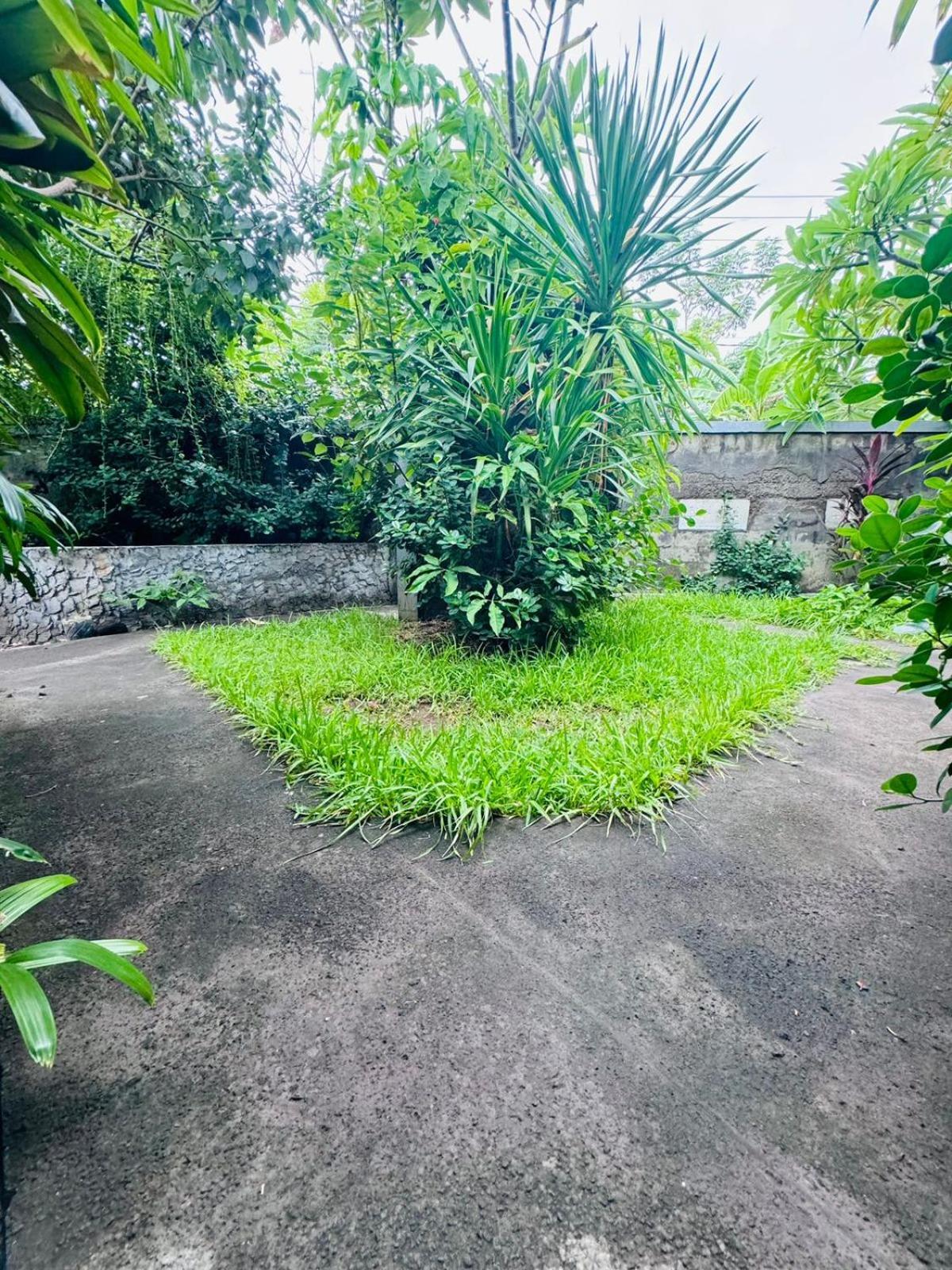 Guest house Putu