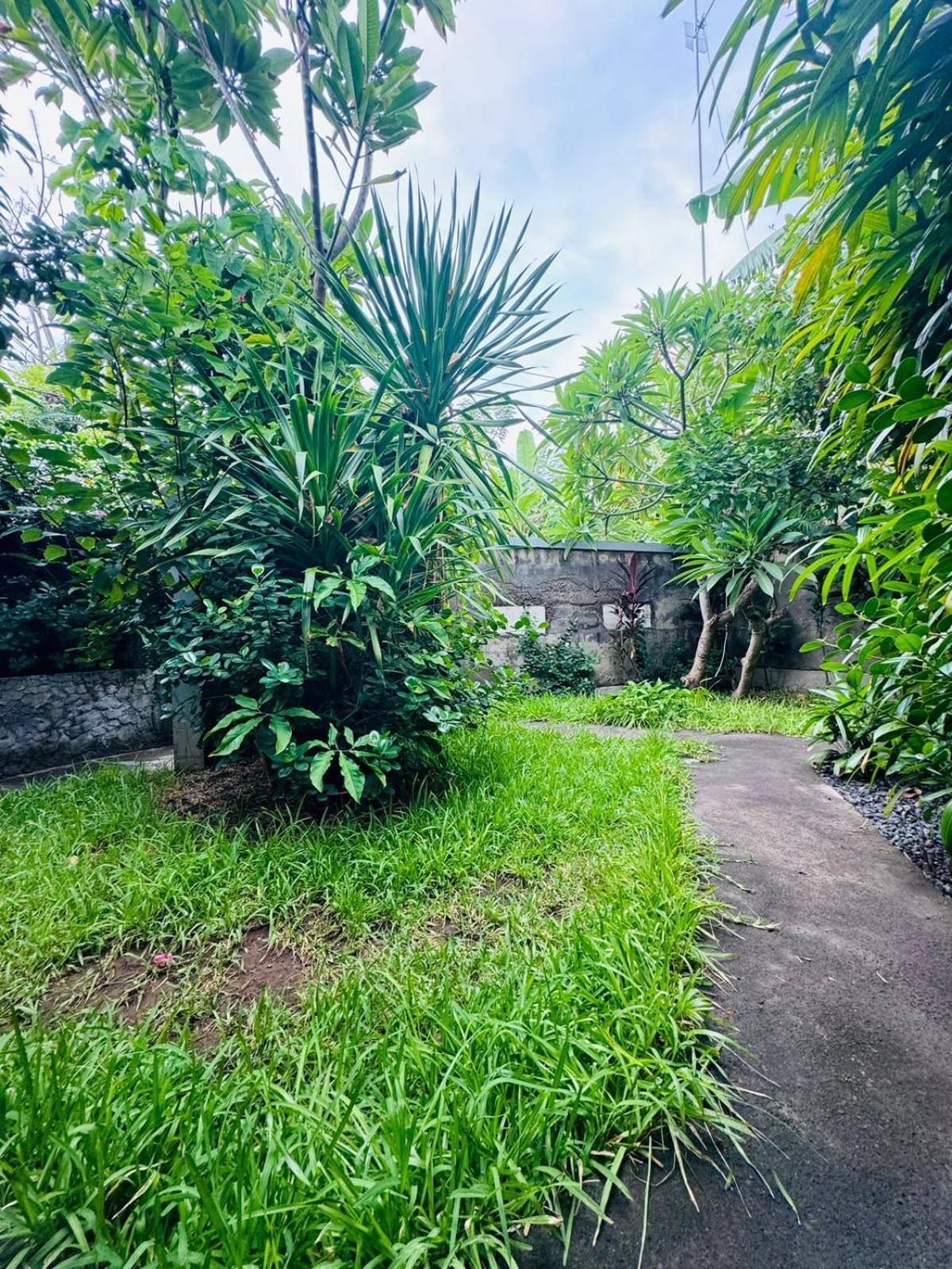 Putu Guest house Pemuteran (Bali)