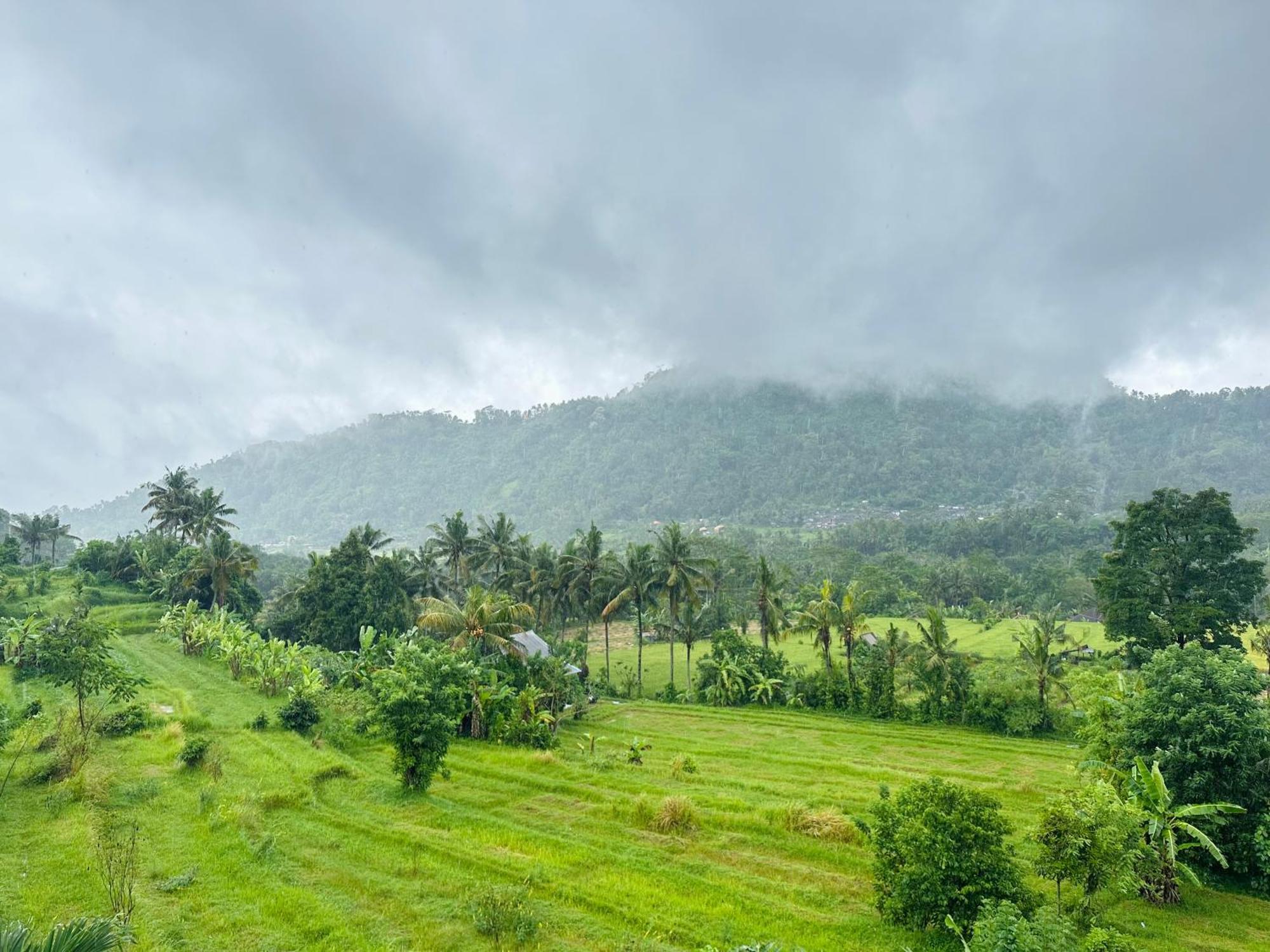 Puri Jumpungan Guest house Sidemen (Bali)