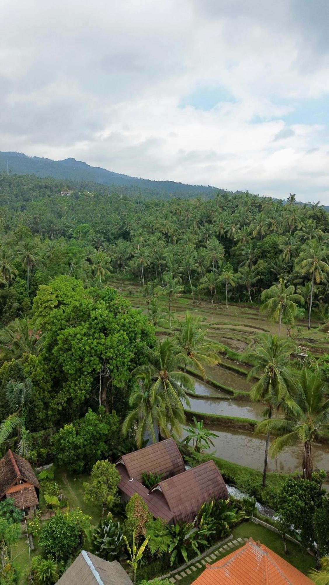 Homestay Damuh Pertivi, River And Rice Fields View