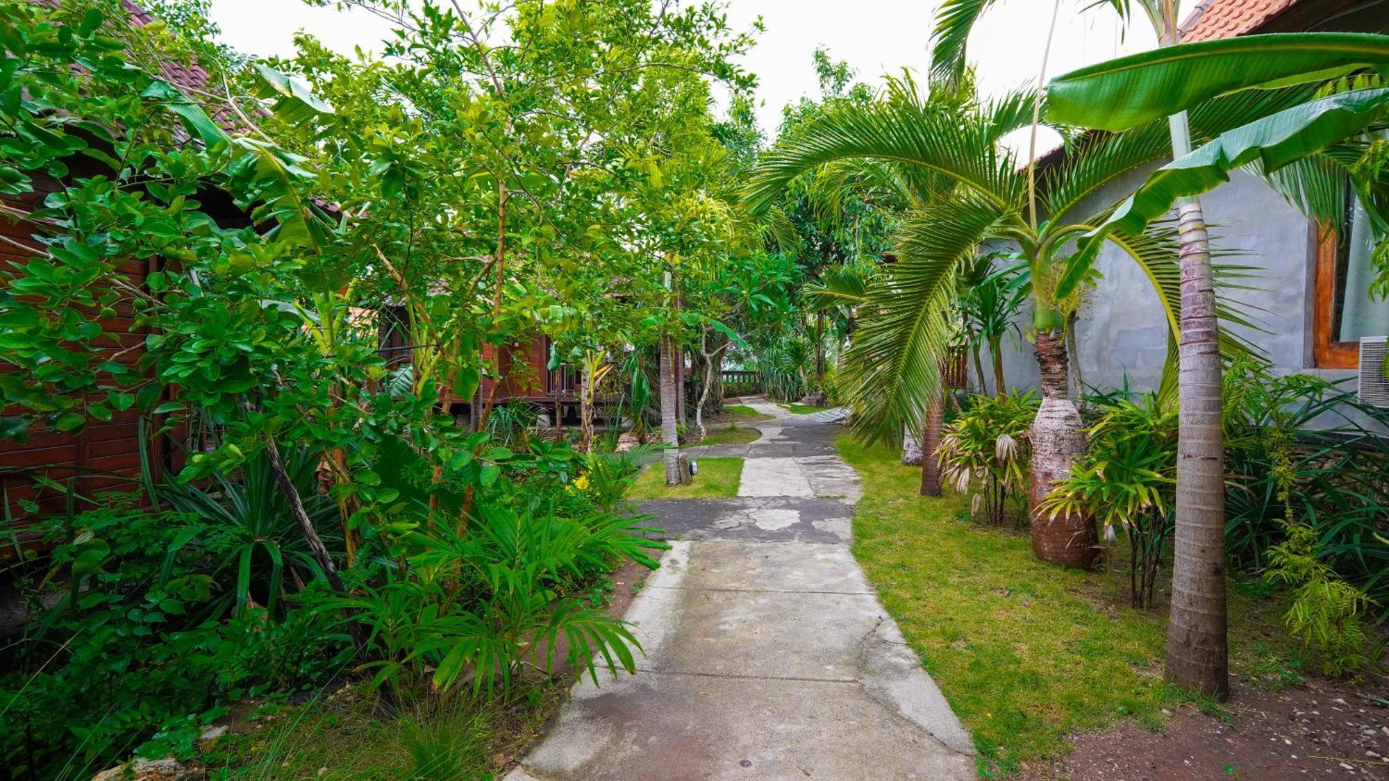 Darsan Lembongan Boutique Guest house