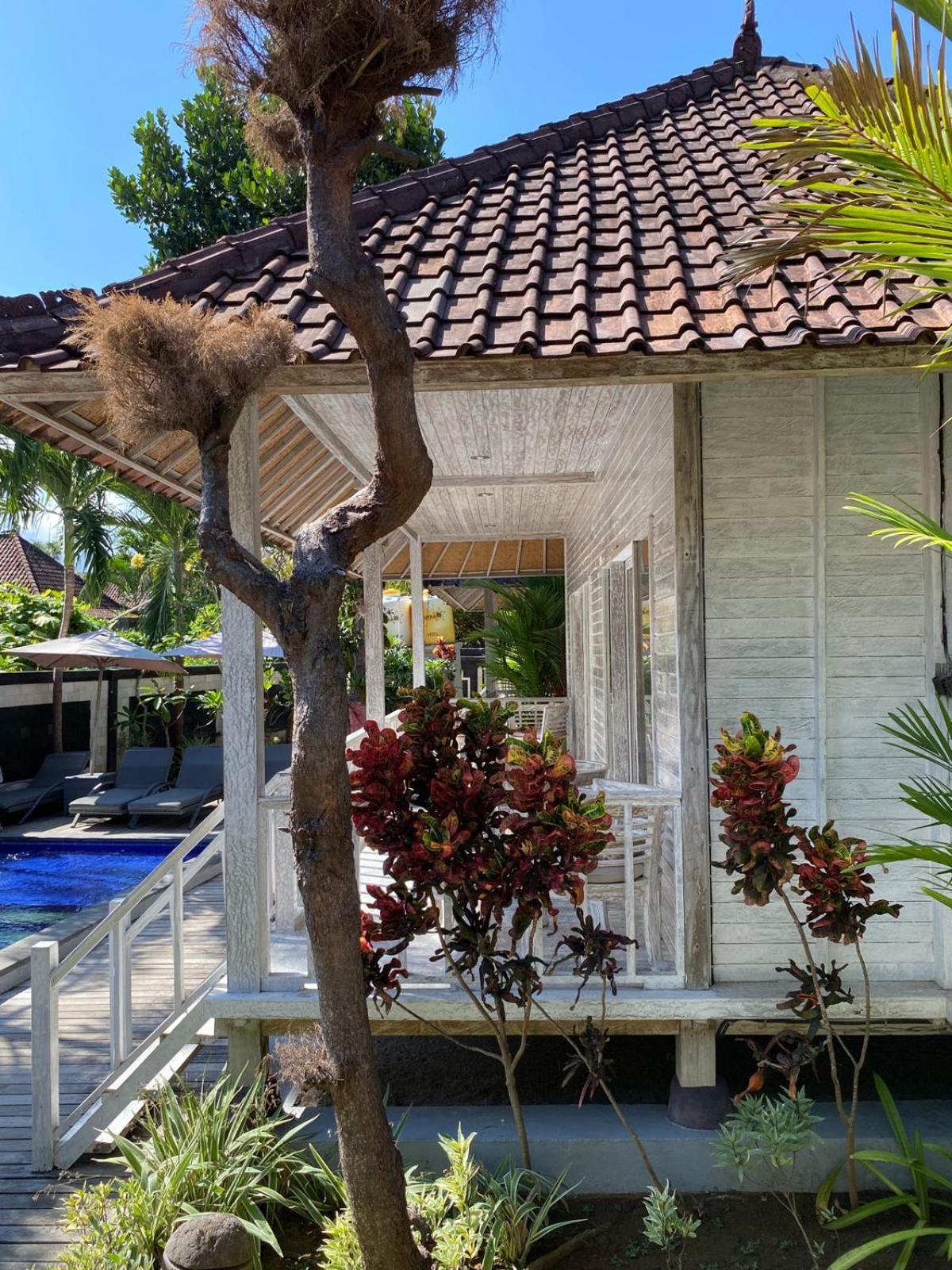 The Nichos And Nusa Lembongan (Bali)