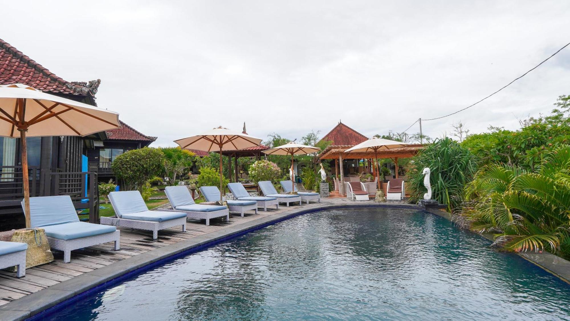 Bali Belva