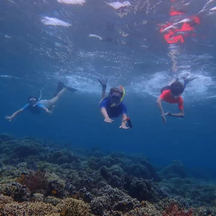 Umah Kayu 2-menjangan