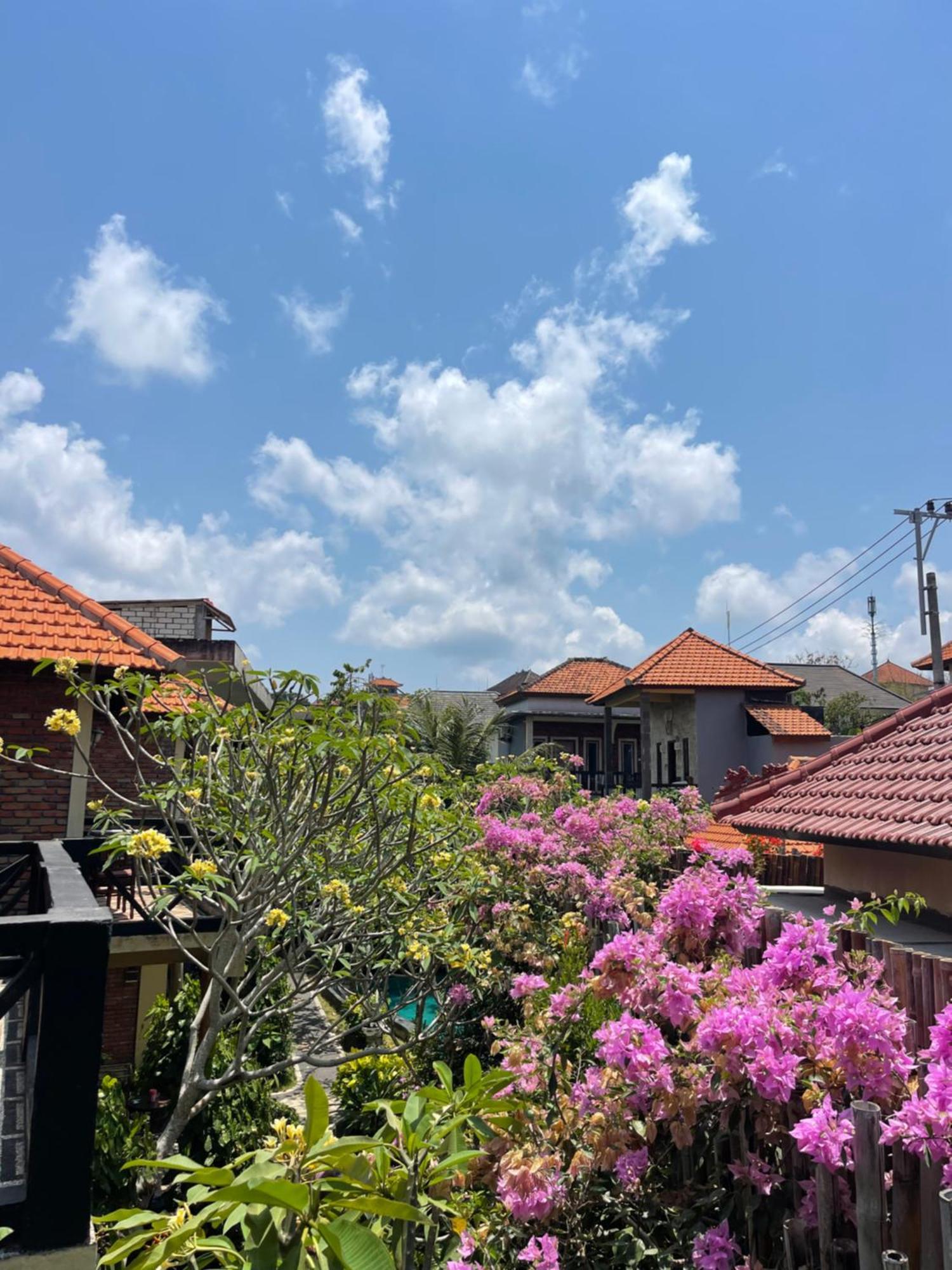 Guest house Satria
