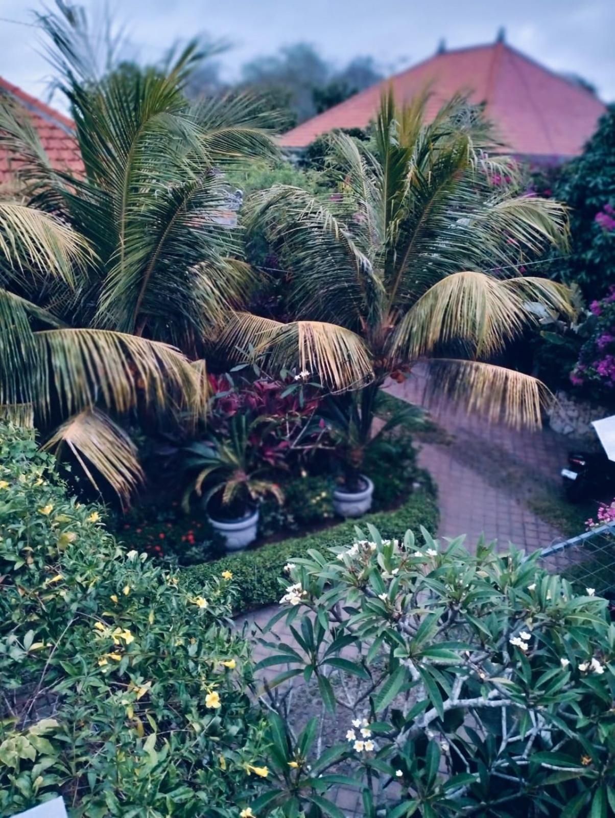 Mandox Bali Villa *