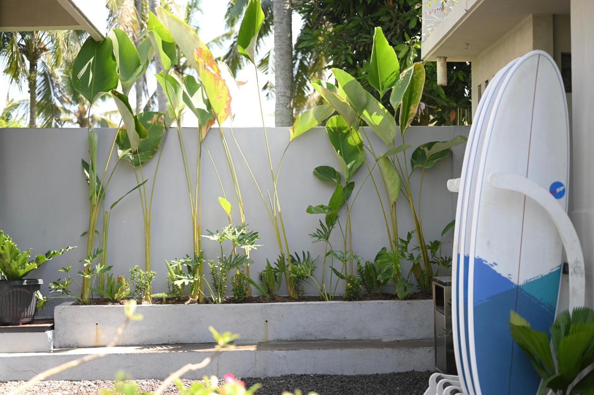 Sanava Bed & Breakfast