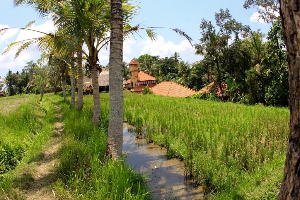 Hotel Villa Ubud Resort