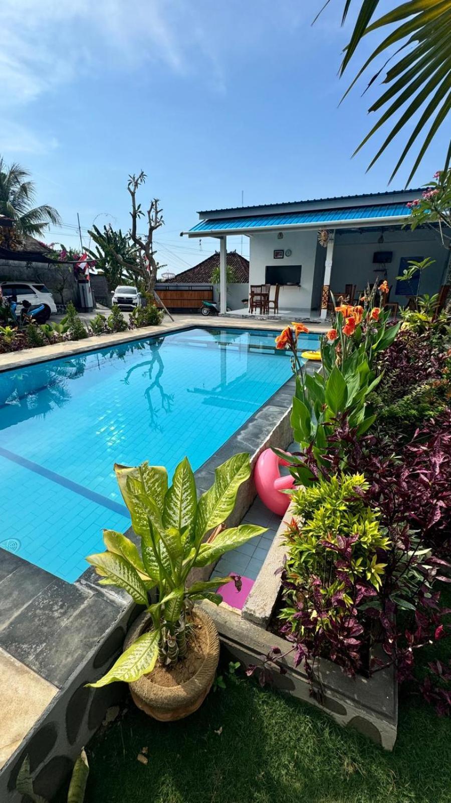 Jepun Lovina Guest house *