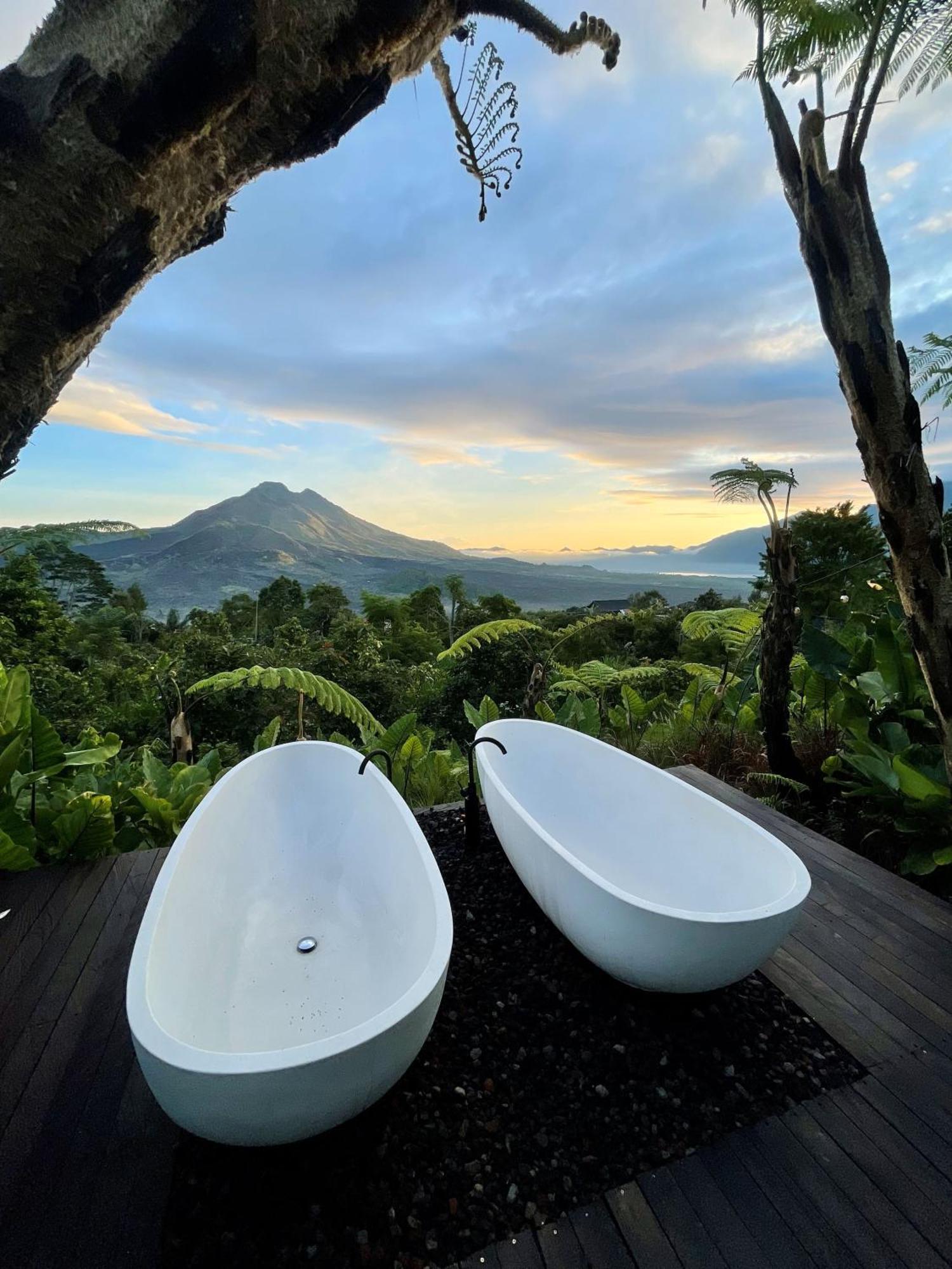 Hotel Black Wood 3*