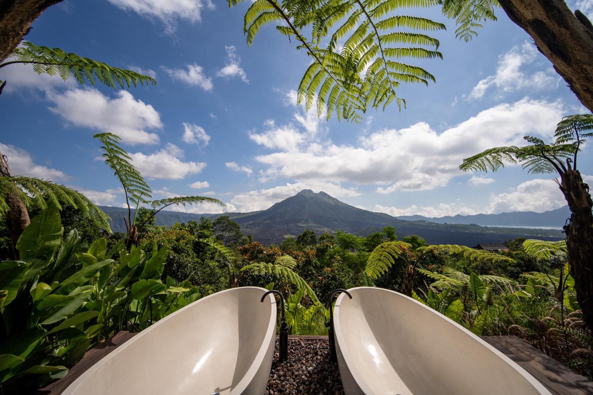Hotel Black Wood 3*