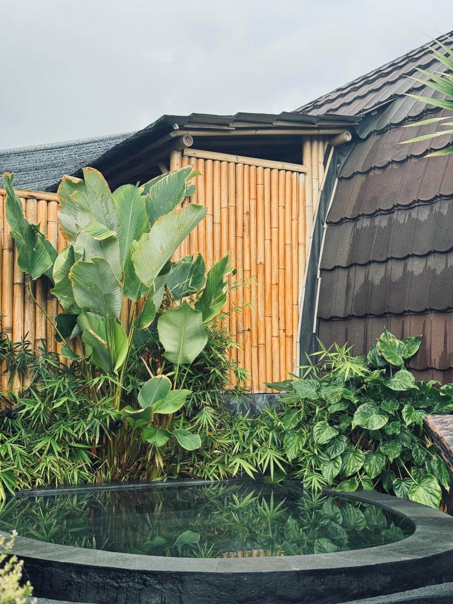 Lodge Tegal Bamboo & Private Hot Spring Baturaja (Bali)