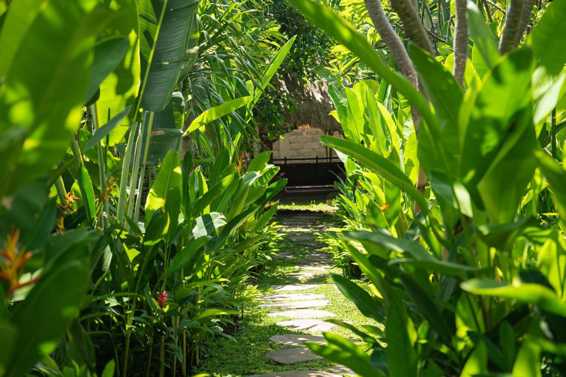 Kayu Village *