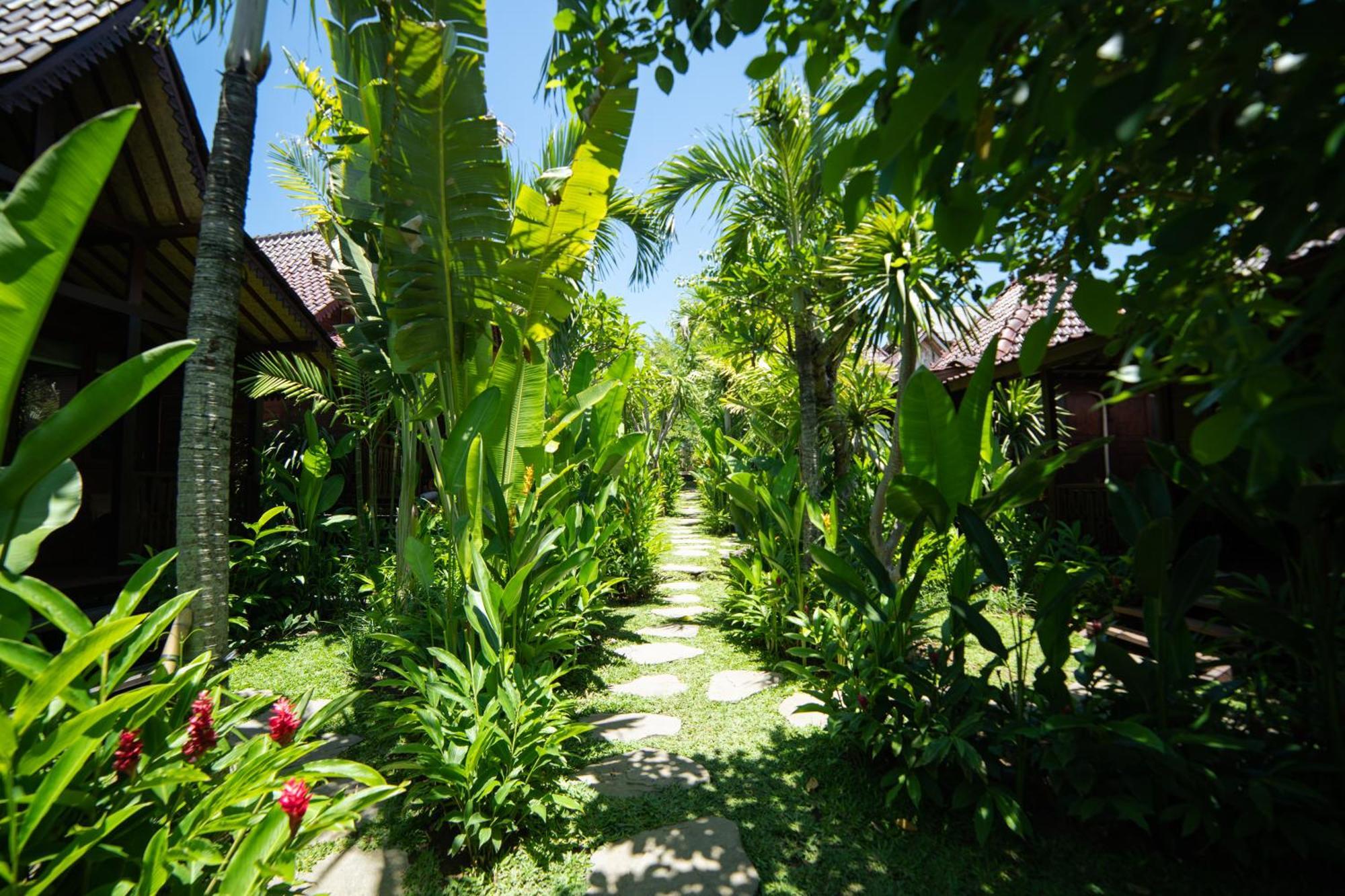Kayu Village