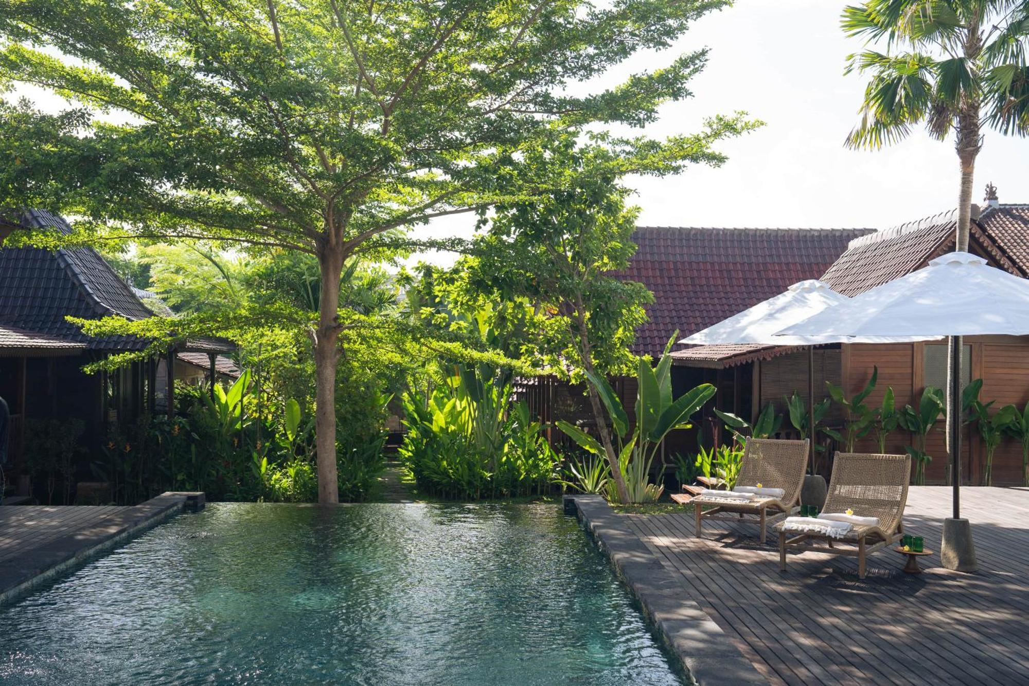 Kayu Village Canggu (Bali)