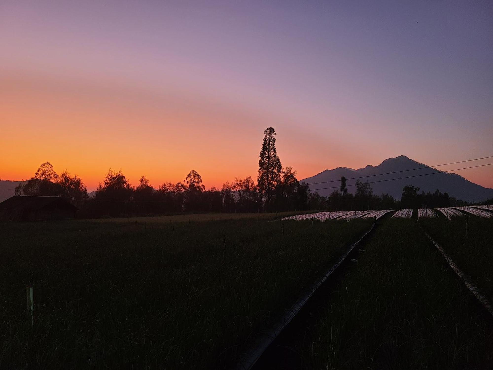 Batur Basecamp Kubupenlokan