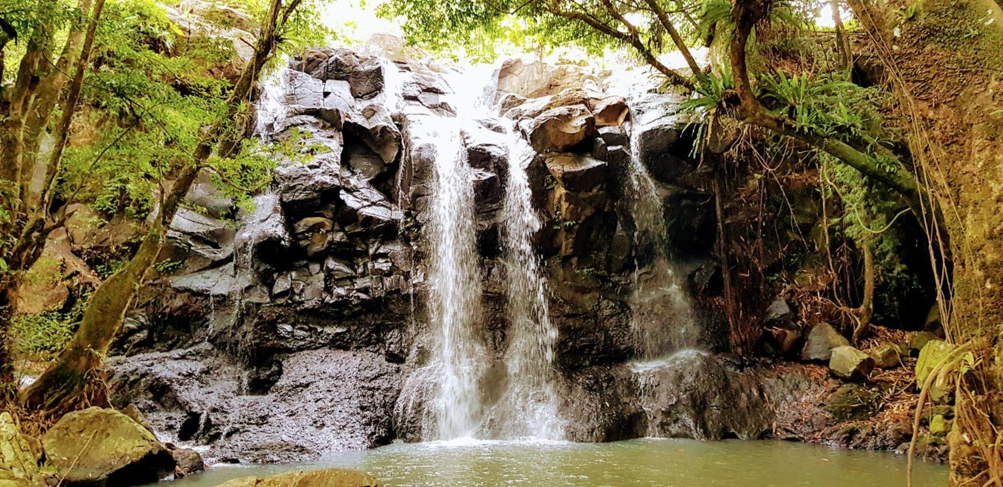 Resort Puri Dajuma Terrace Eco & 4*