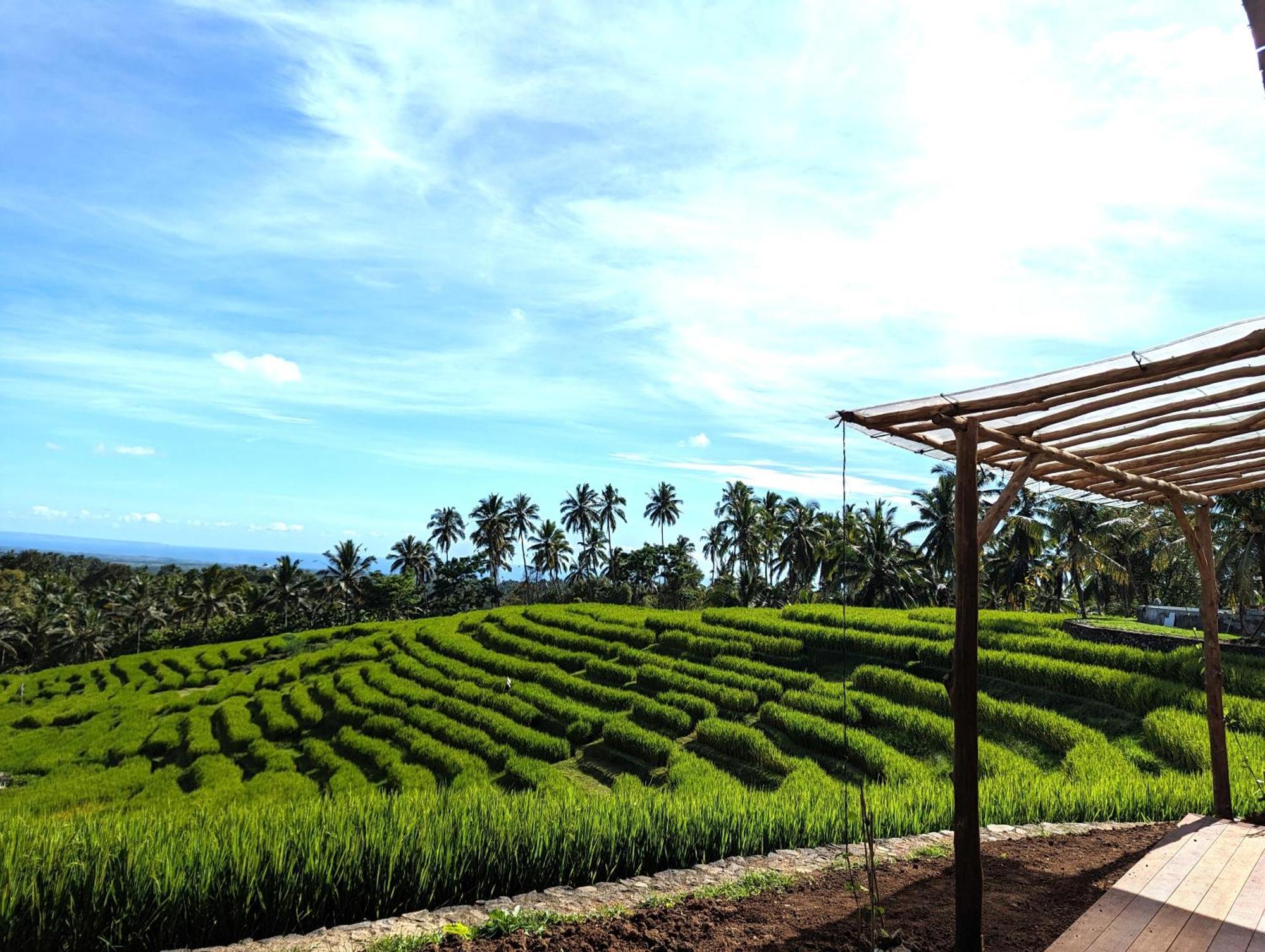 Puri Dajuma Terrace Eco & Resort 4*