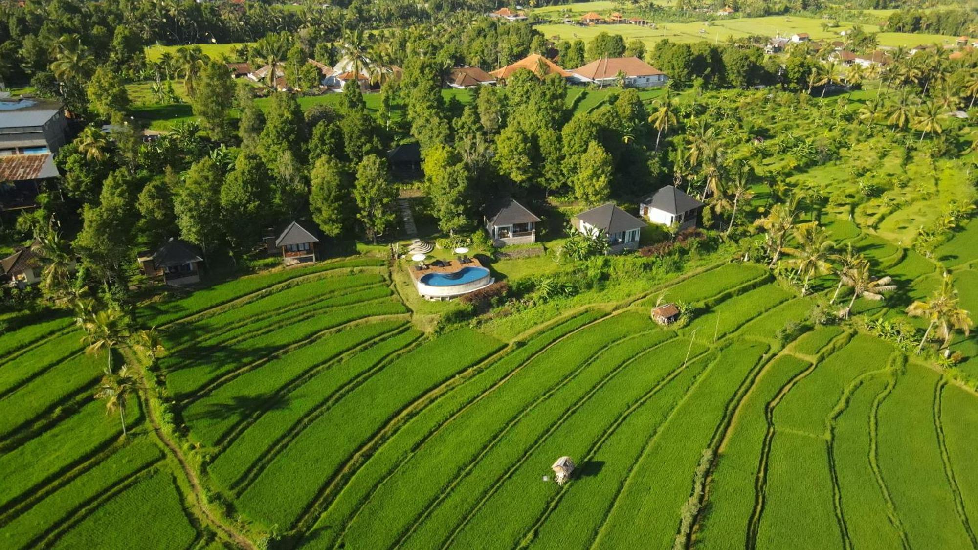 Mayura Bali 3* Munduk (Bali)