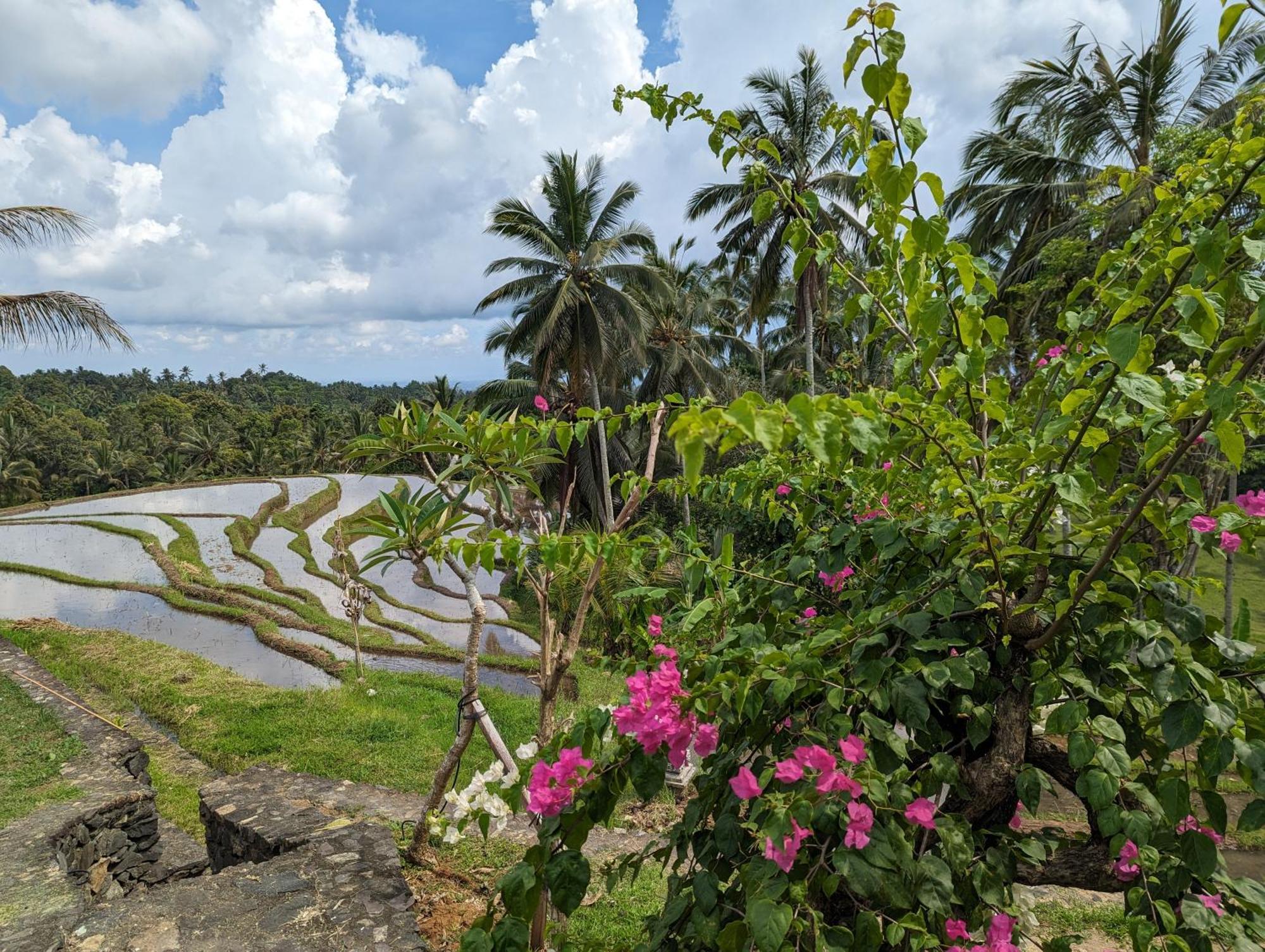 Puri Dajuma Terrace Eco & 4*