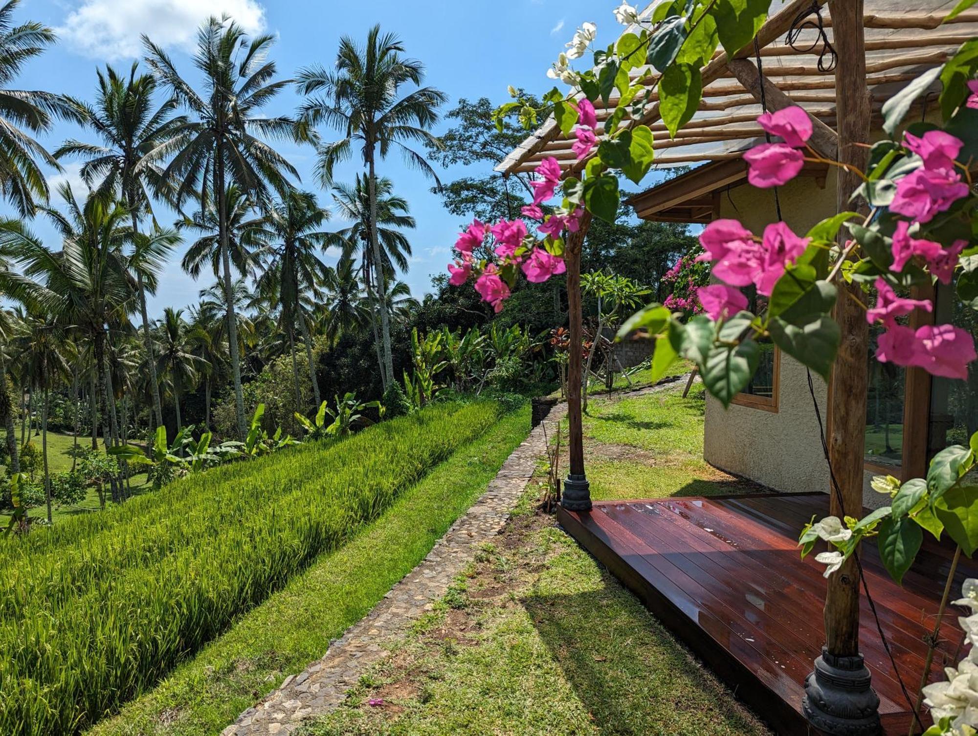Puri Dajuma Terrace Eco &