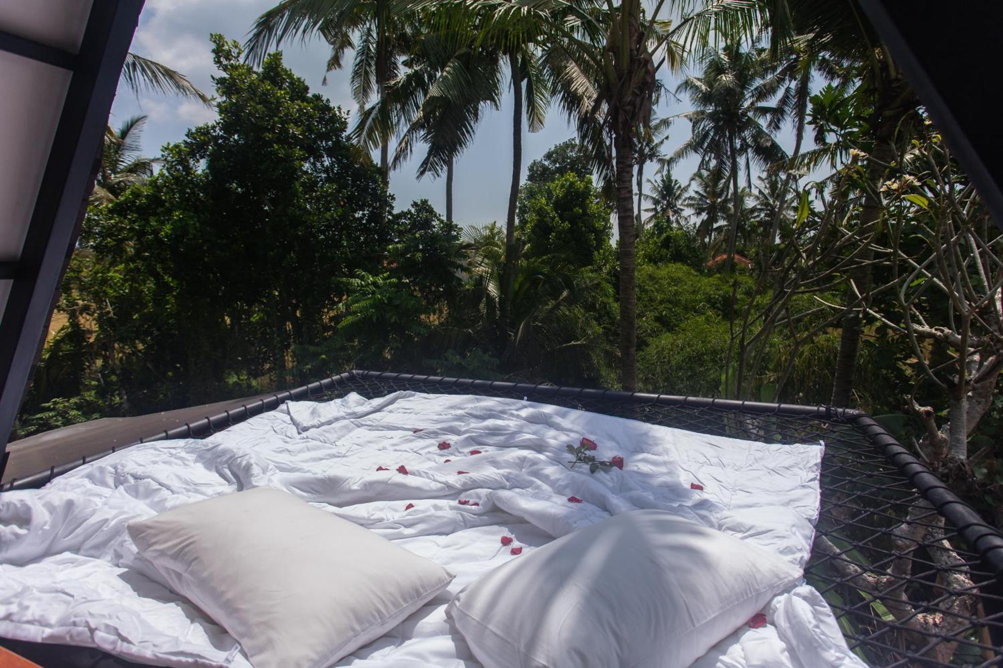 Lodge Ipian Angel By Pramana