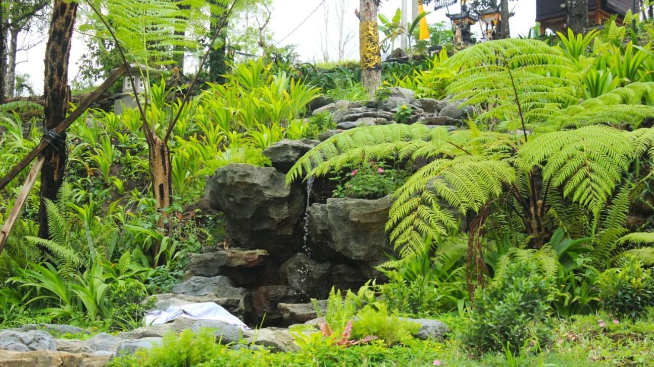 Mayura Bali Hotel Munduk (Bali)
