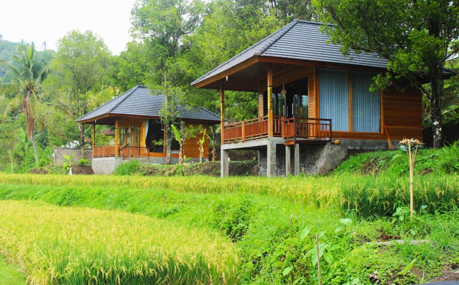 Mayura Bali 3* Munduk (Bali)