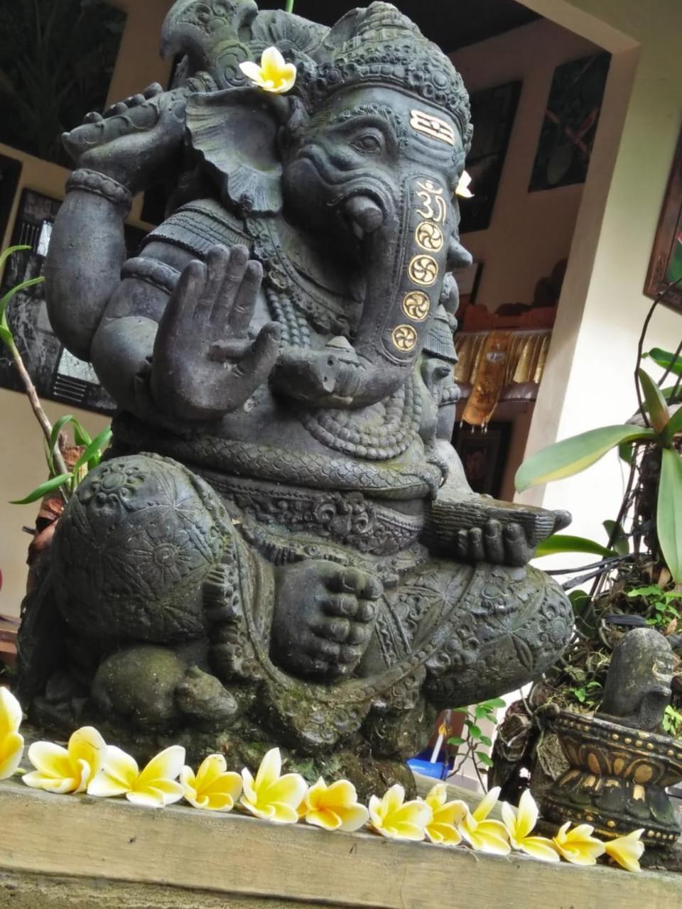 Lionk Bali House Bed & Breakfast Ubud (Bali)