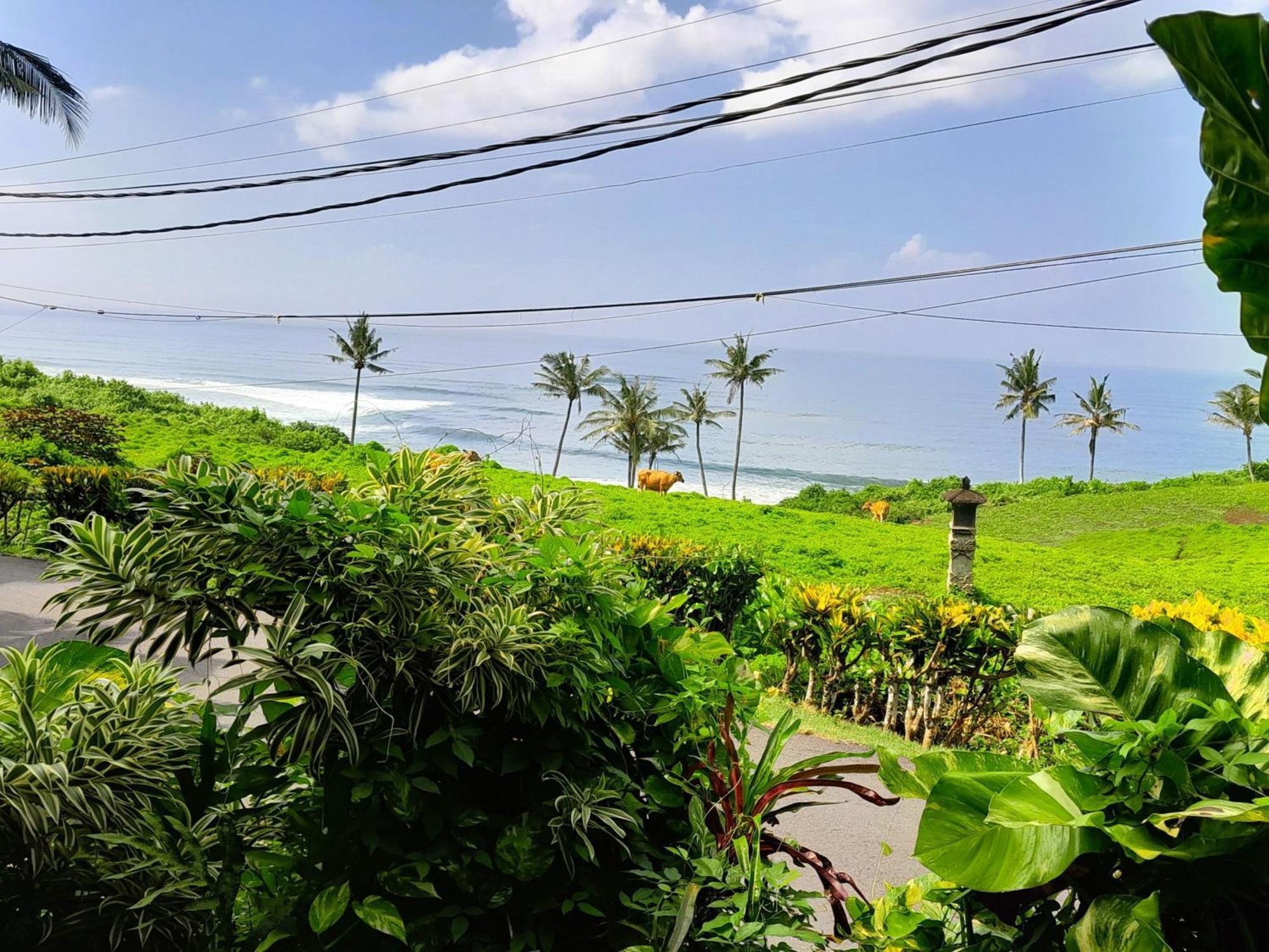 Hotel Pisces Balian Selemadeg (Bali)