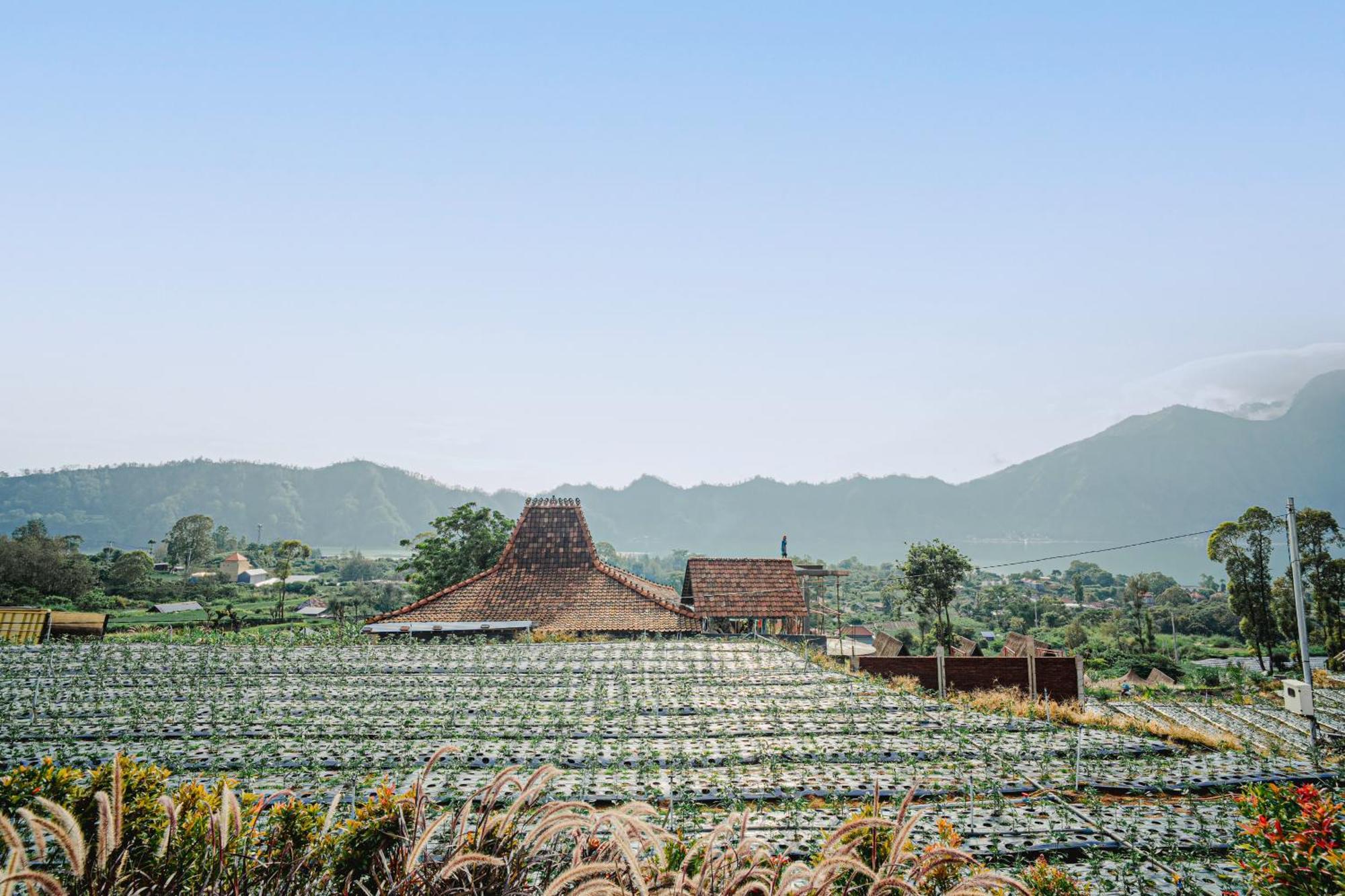 Onion Hill Glamping Managed By Manara Kintamani (Bali)