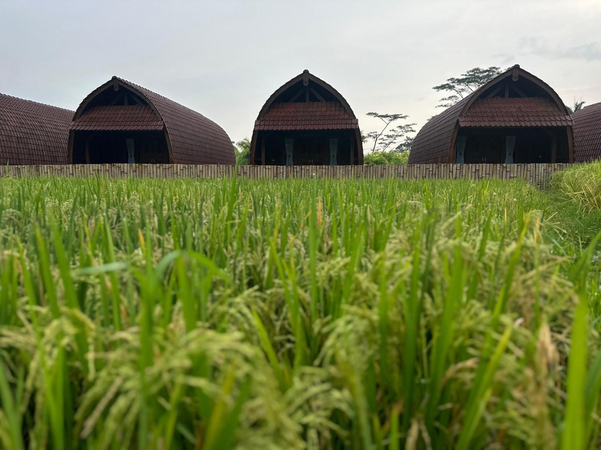 Lumbung Sidemen Lodge *