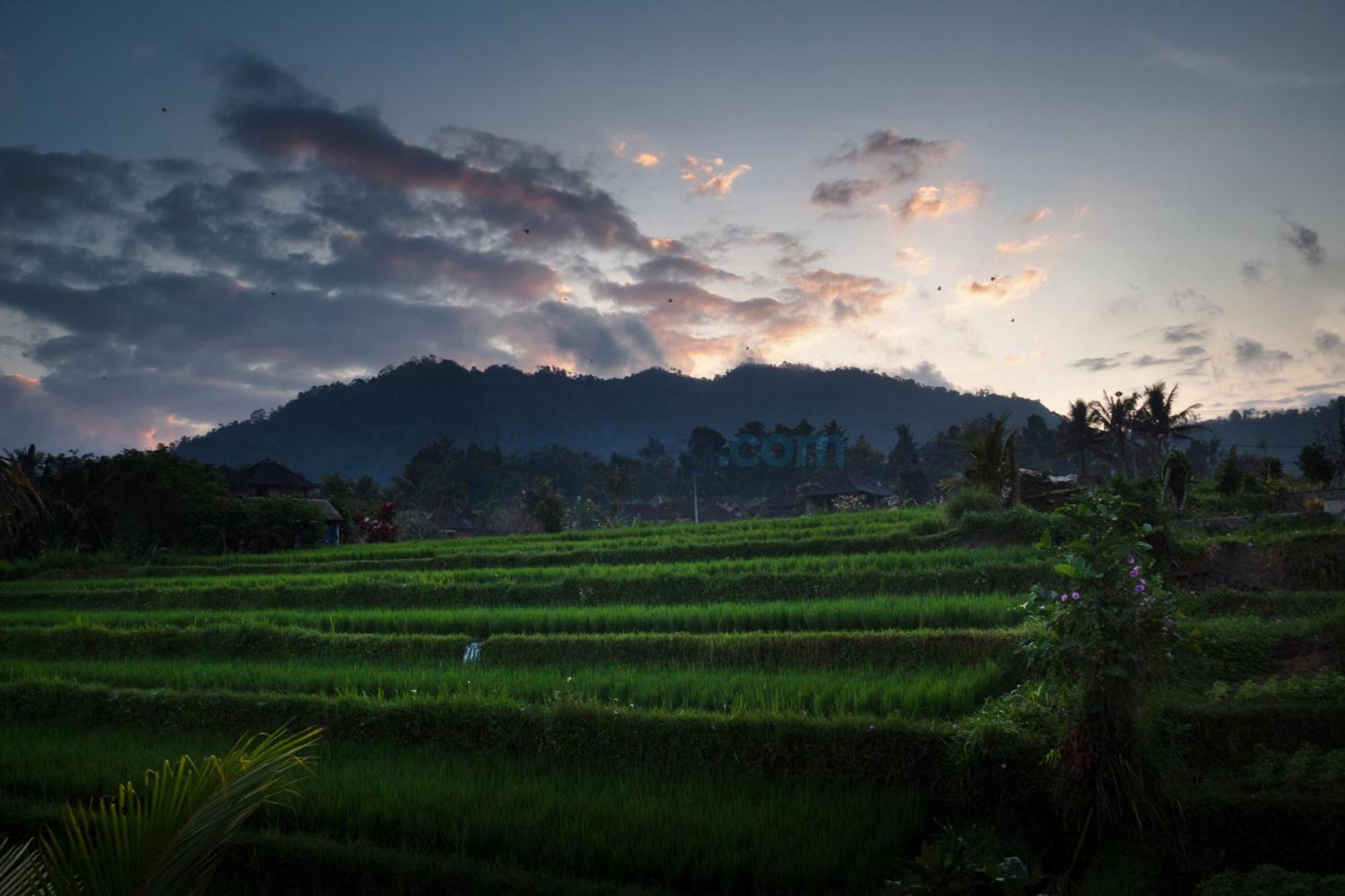 Guest house The Kanjeng Signature Sidemen Sidemen (Bali)