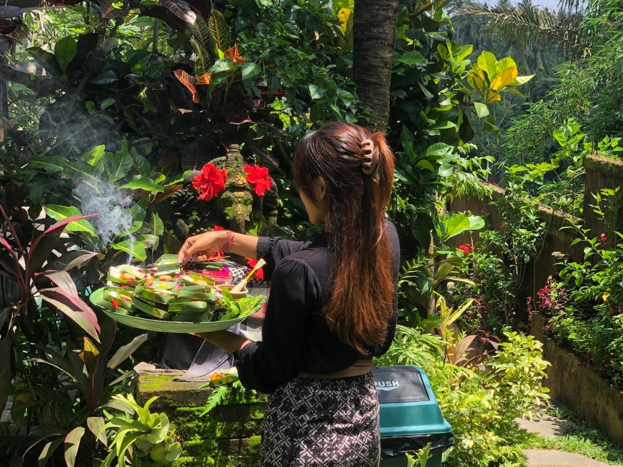 Baliwid * Ubud (Bali)