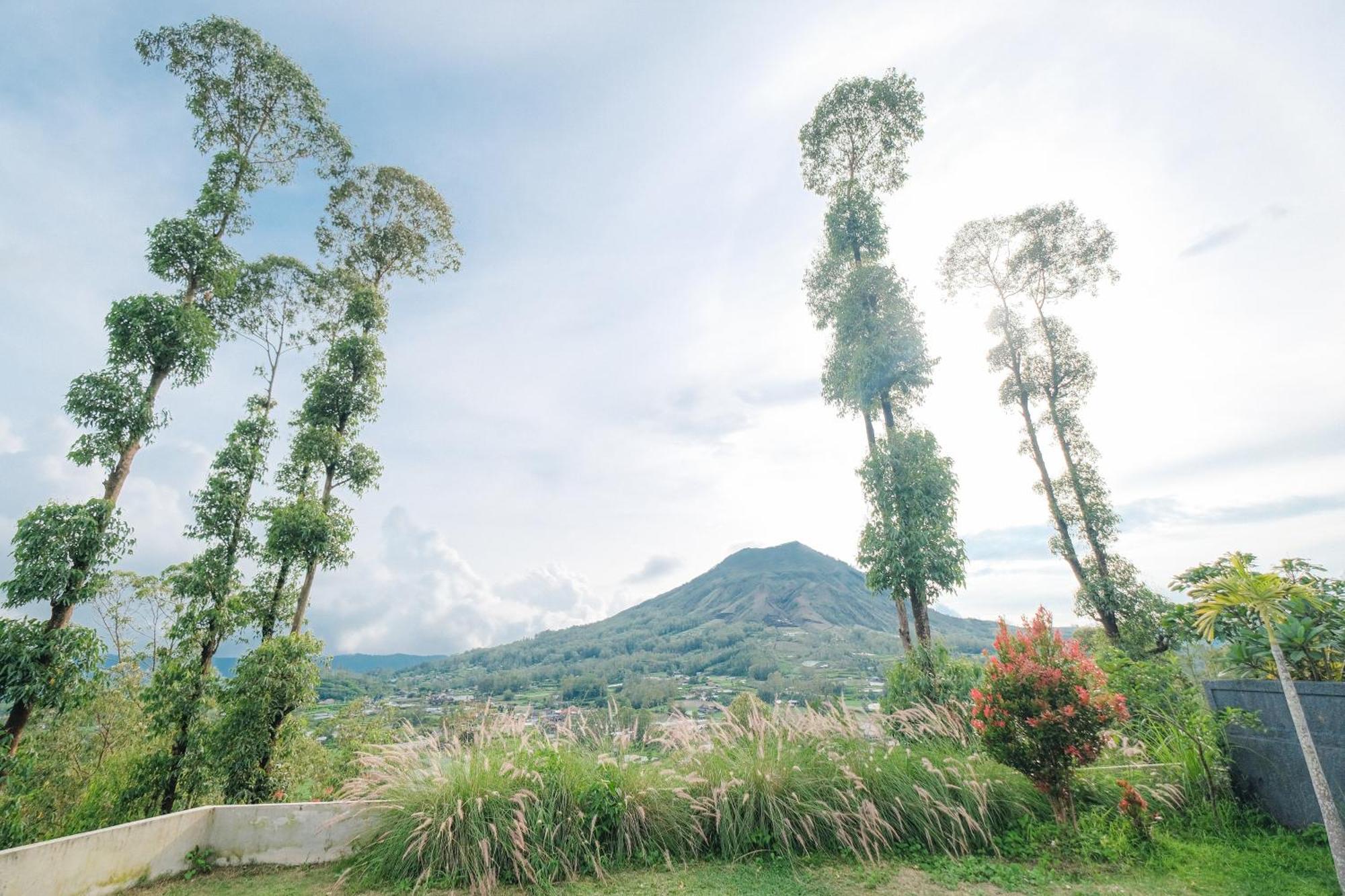 Bed & Breakfast Bunbulan Panorama