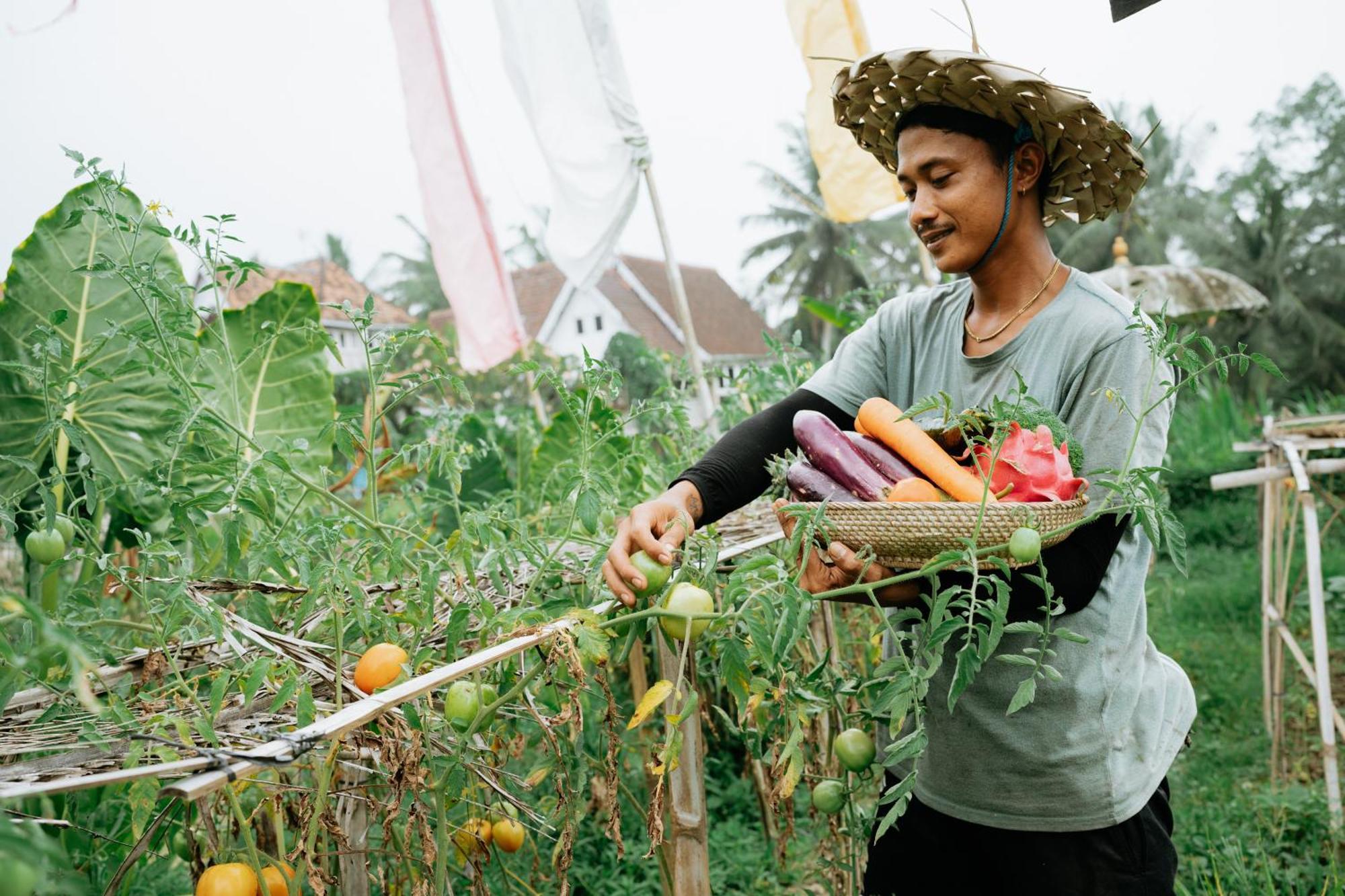 The Rice Joglo Eco-stay Wisma tamu Ubud (Bali)