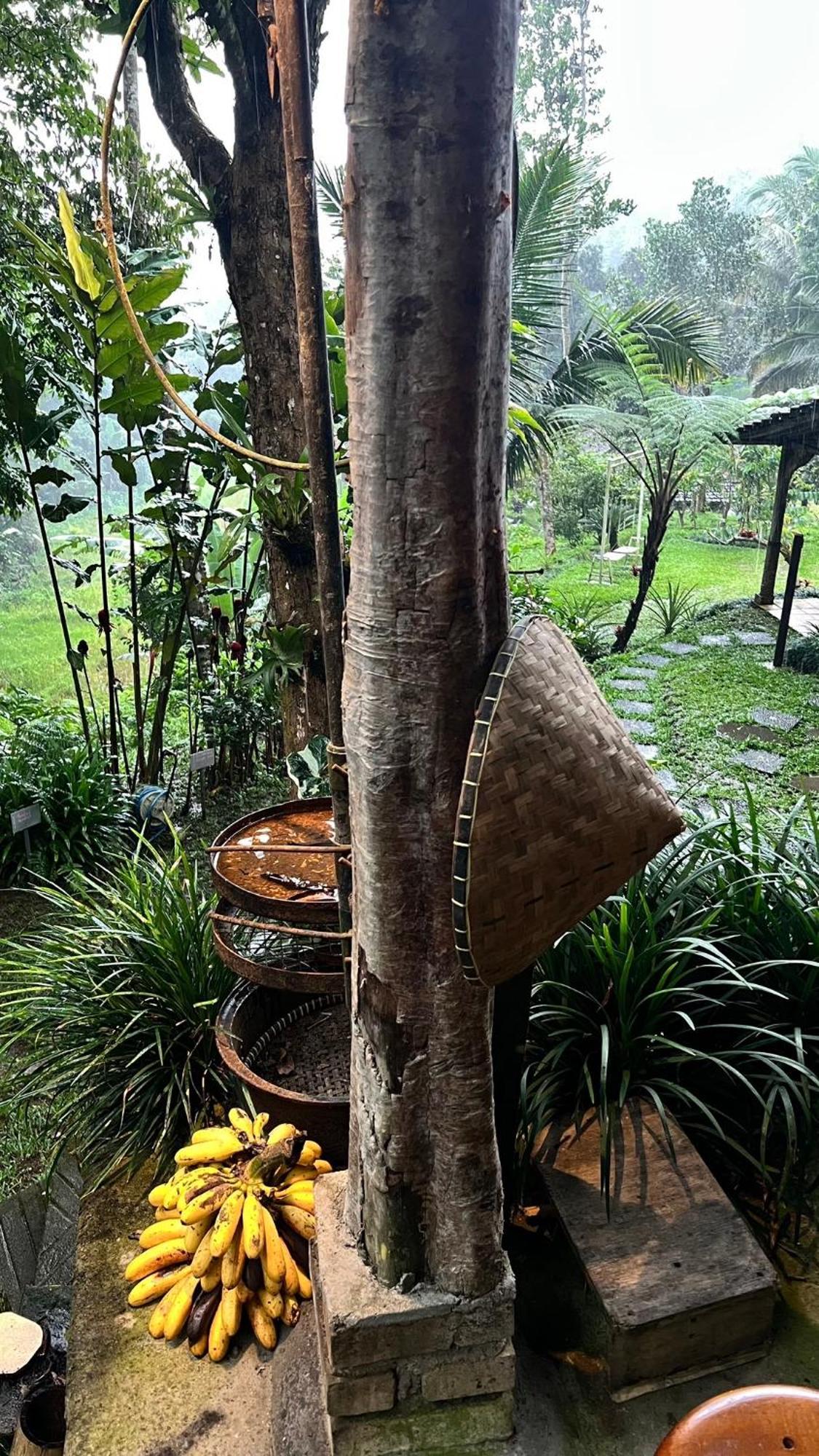 Oemah Tepi Sawah *