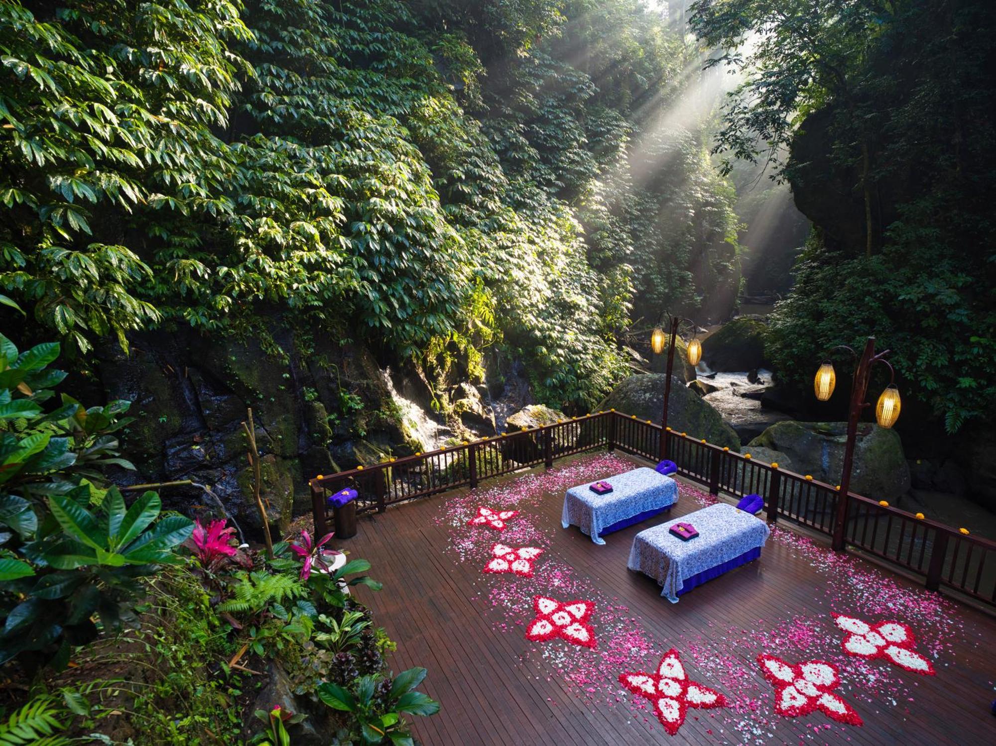 Nandini Jungle By Hanging Gardens