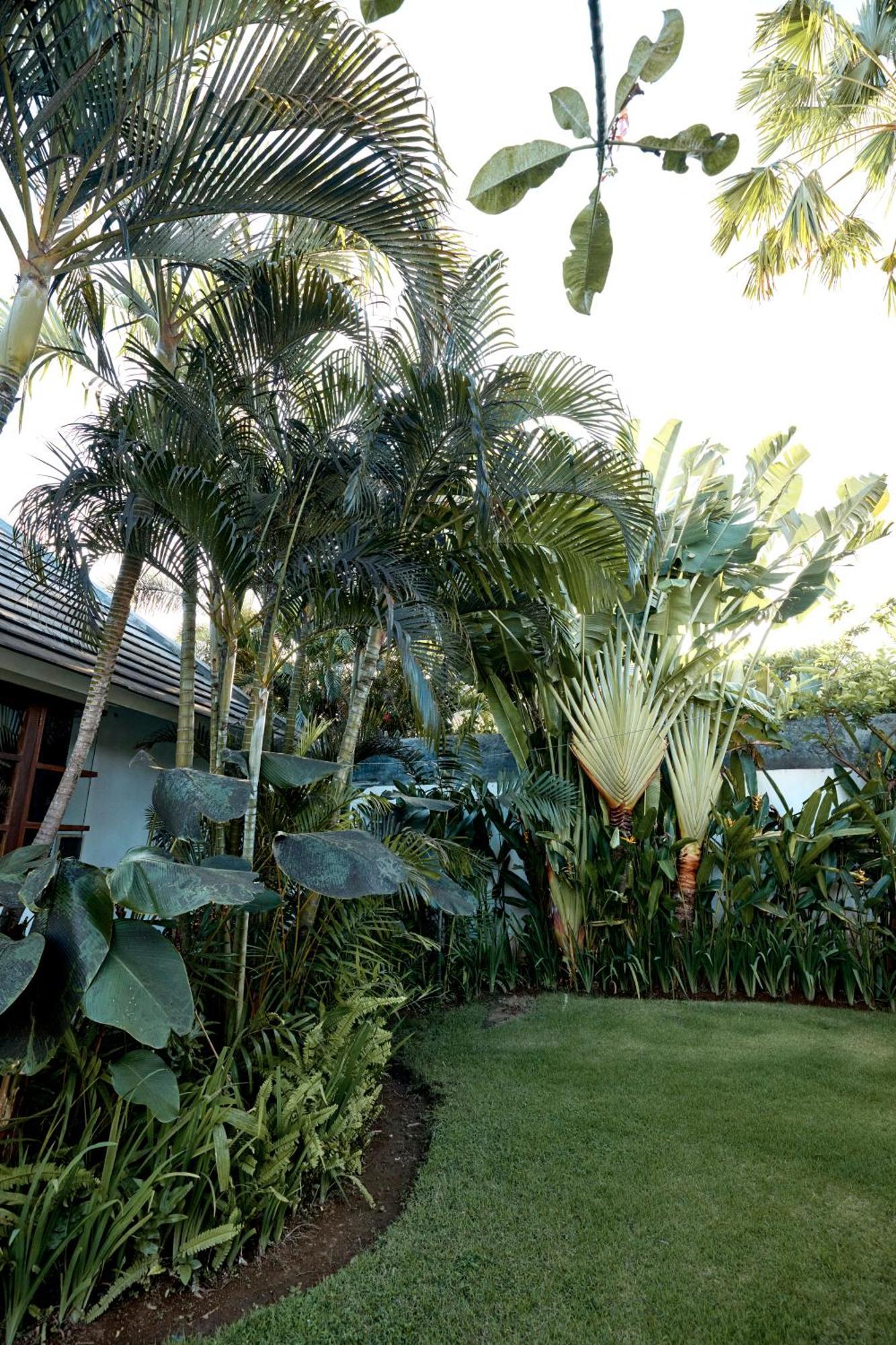 Senara Canggu (Bali)