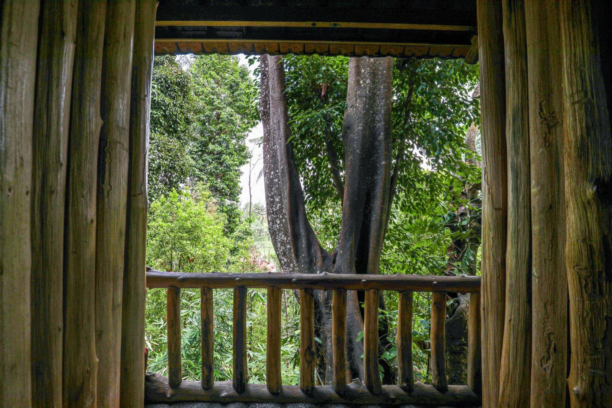 Omunity Bali Guest house Singaraja (Bali)