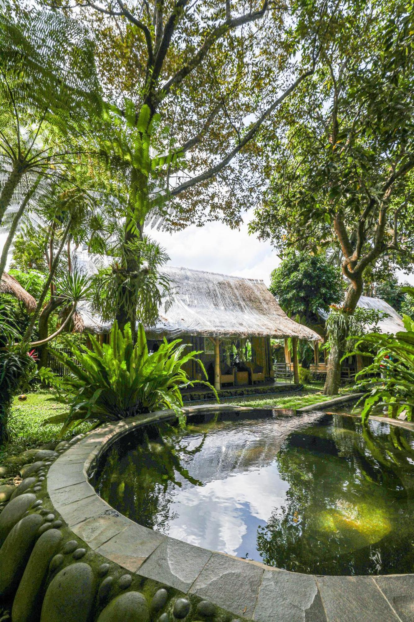 Omunity Bali Singaraja (Bali)