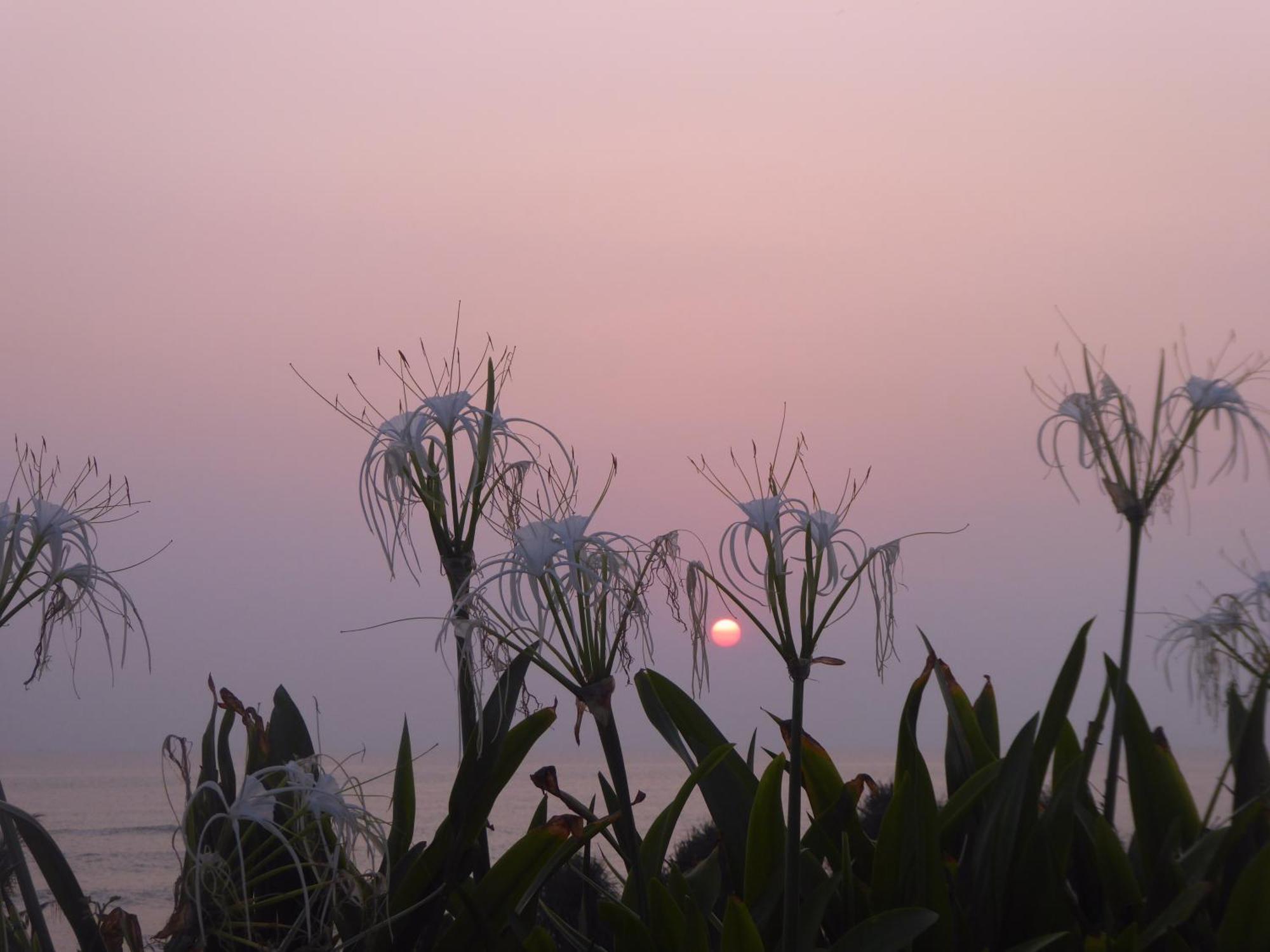 Bali Luxe Beachfront Rooftop Sunsets Canggu (Bali)