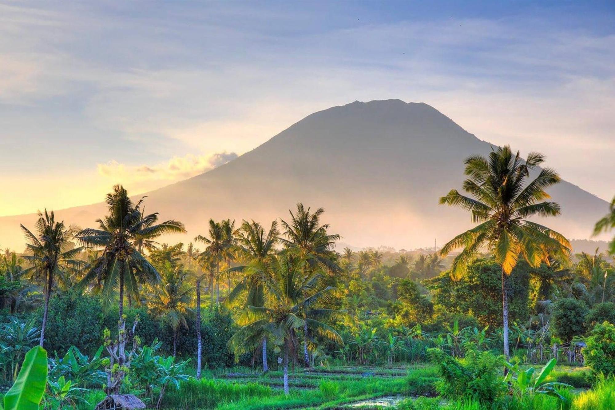 Ulus - Tropical 1 Bedroom Ocean View By Triang Apartment Tanah Lot (Bali)