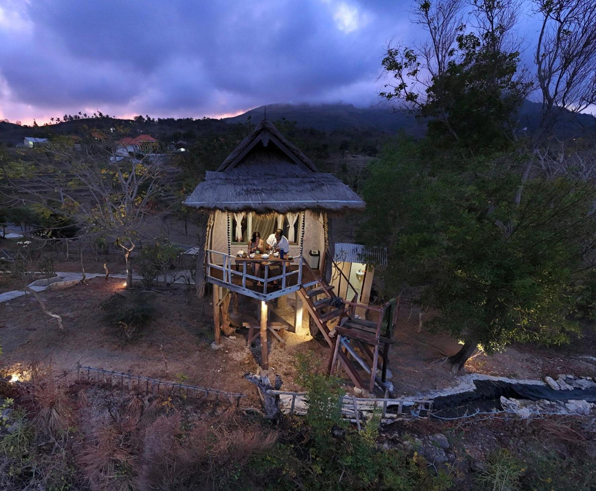 Holiday park Eco-tourist Dreamstay Treehouse