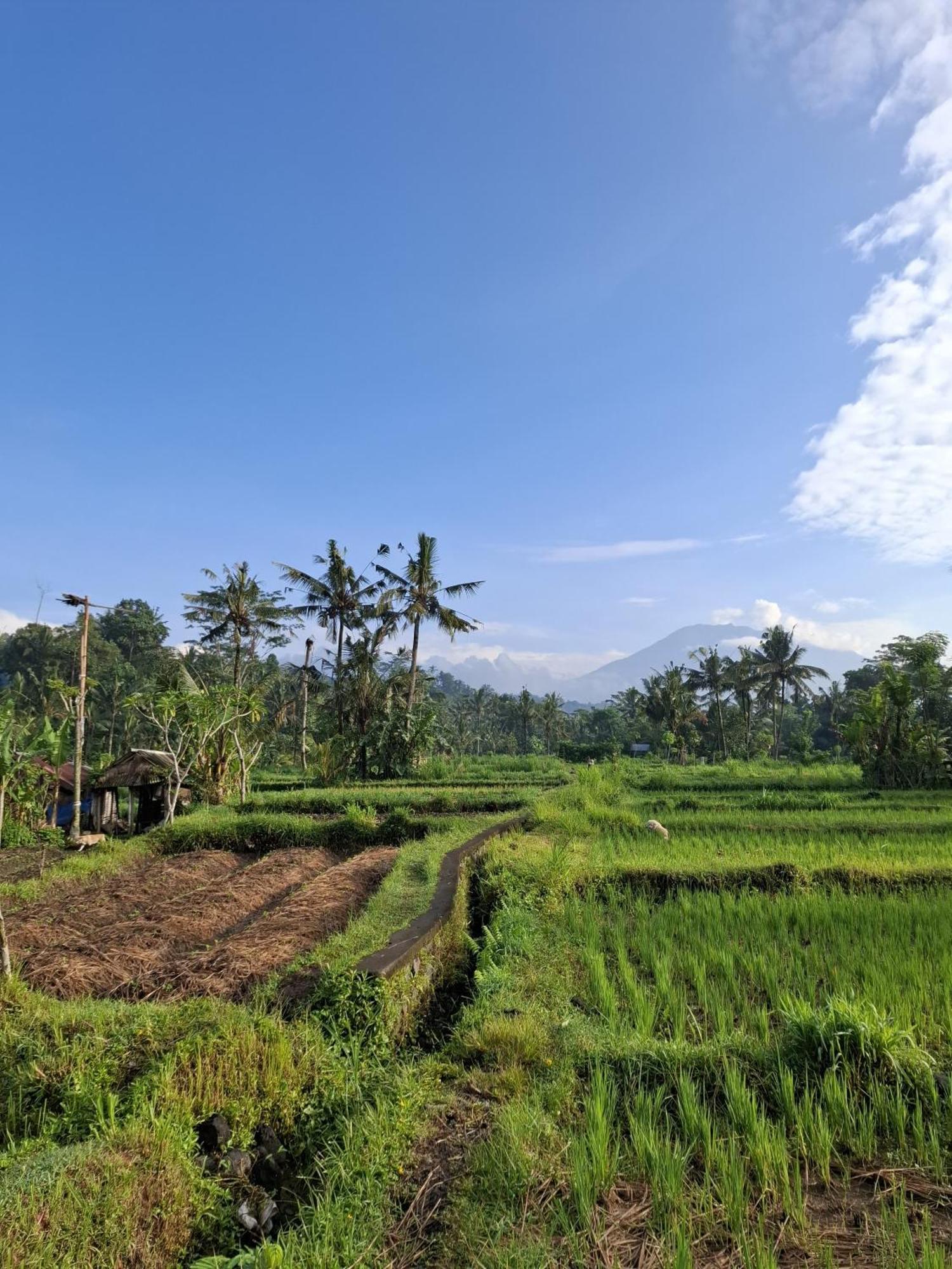 Holiday park Darmada Eco