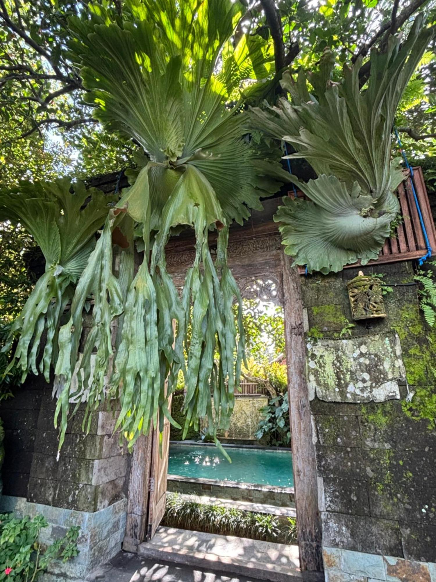Villa Bumbung Sari