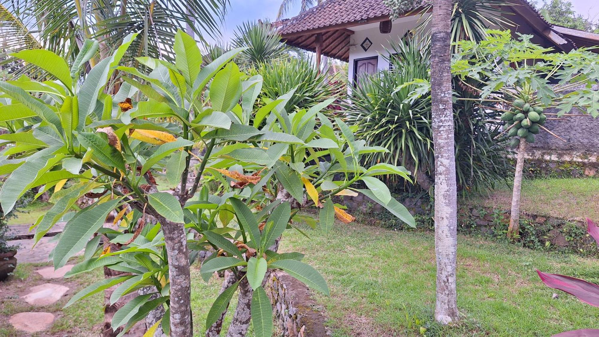 Frangipani & Restaurant Guest house 2*