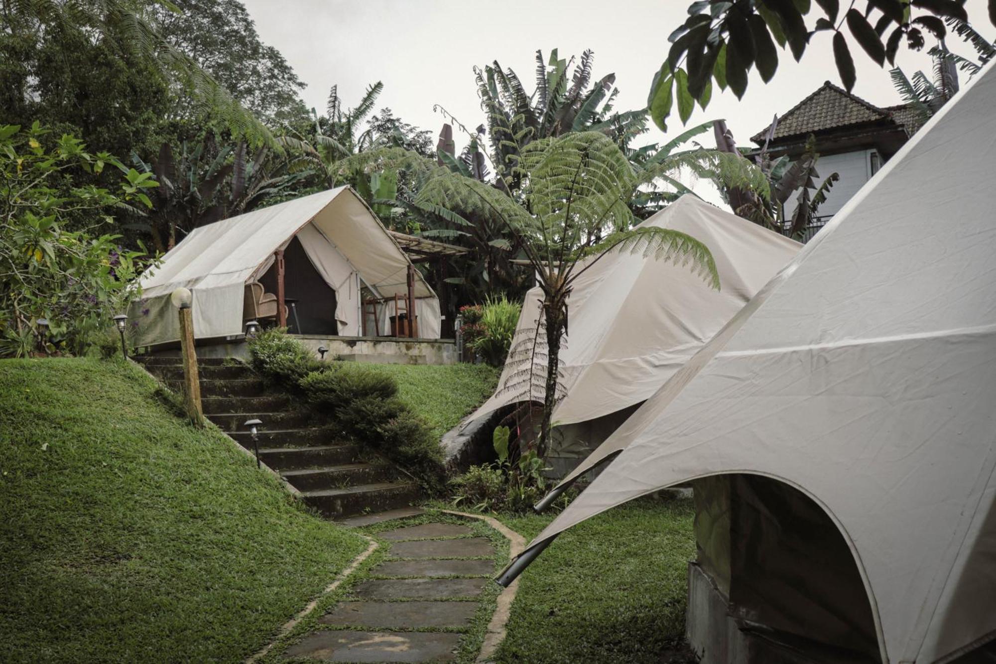 Alamu Eco Luxury tent