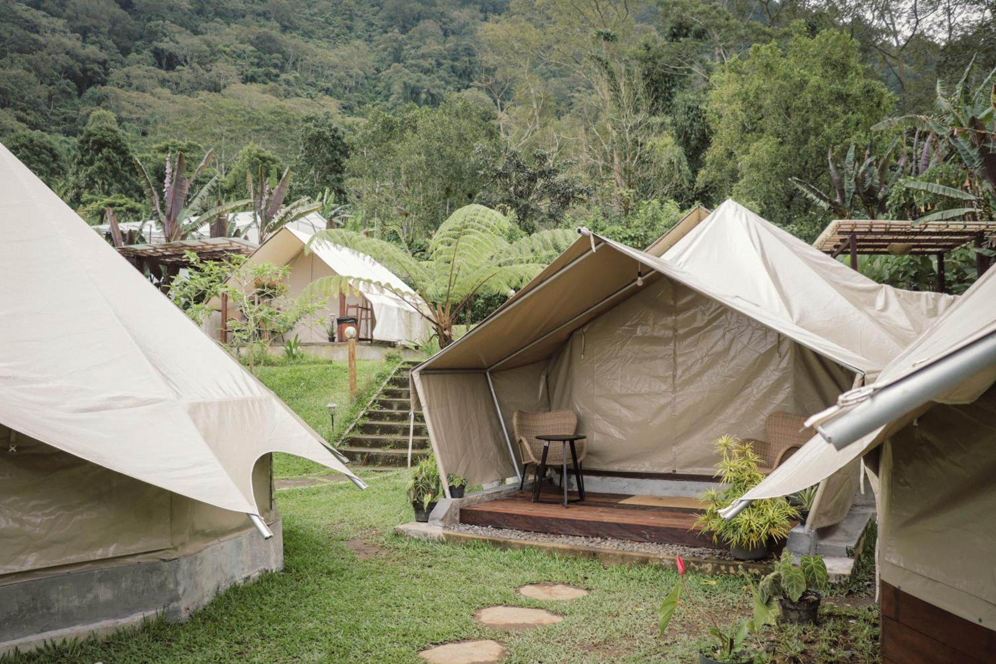 Alamu Eco Luxury tent Bedugul (Bali)